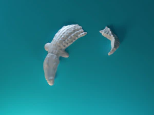 Swimming Crocodile 3D Print Model
