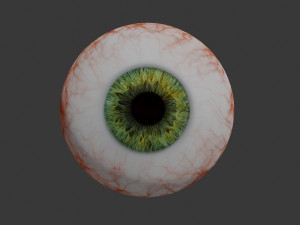 eye collection 8 units 3D Модель