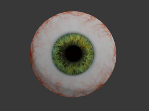 eye collection 8 units 3D Model