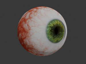 eye collection 8 units 3D Model