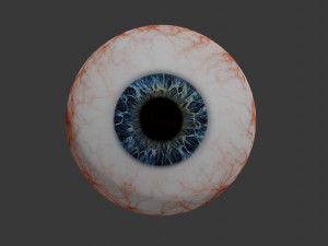 eye collection 8 units 3D Модель