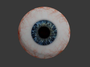 eye collection 8 units 3D Model