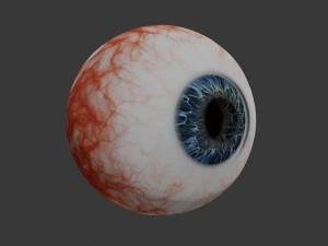 eye collection 8 units 3D Model