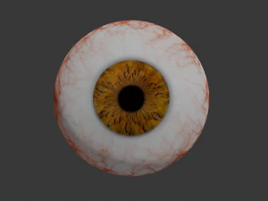 eye collection 8 units 3D Model