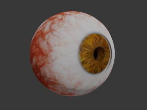 eye collection 8 units 3D Model