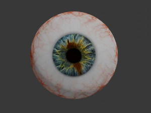 eye collection 8 units 3D Model