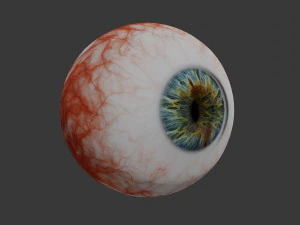 eye collection 8 units 3D Model