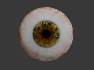 eye collection 8 units 3D Model