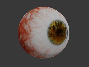 eye collection 8 units 3D Model