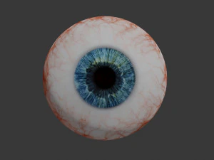 eye collection 8 units 3D Model
