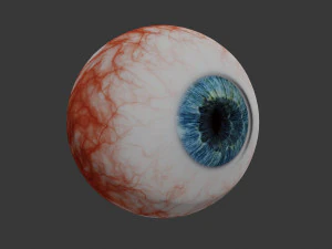 eye collection 8 units 3D Model