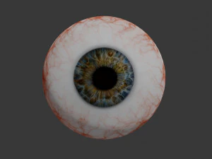 eye collection 8 units 3D Model