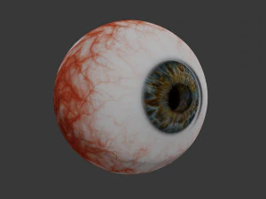 eye collection 8 units 3D Model