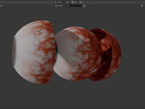 eye collection 8 units 3D Model