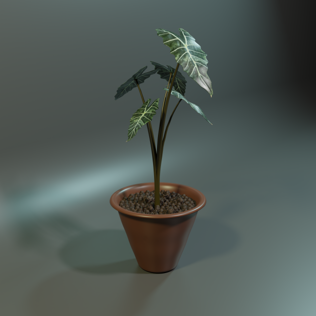 plant 3D 模型 .c4d .max .obj .3ds .fbx .stl .blend