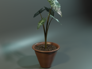 plant Model 3D