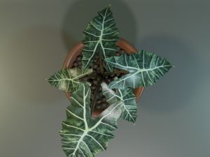 plant 3D 模型