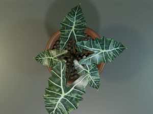 plant 3D Model