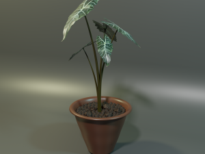 plant 3D 模型