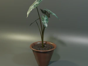 plant 3D Model
