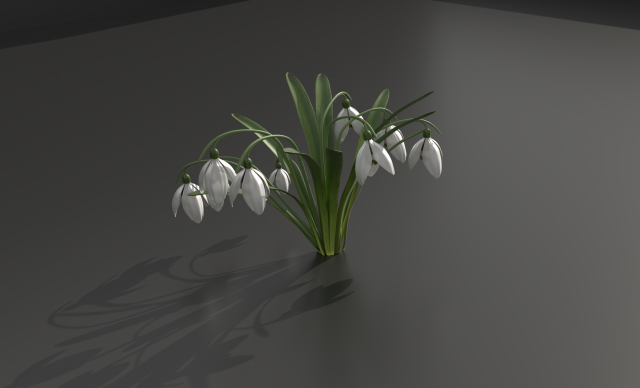 snowdrop 3D Модель .c4d .max .obj .3ds .fbx .stl .blend 
