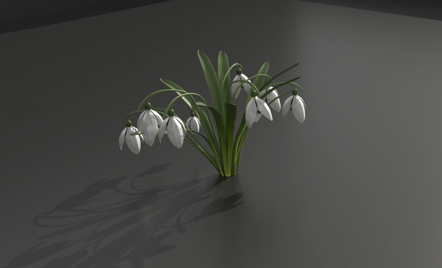 snowdrop 3D Model .c4d .max .obj .3ds .fbx .stl .blend 