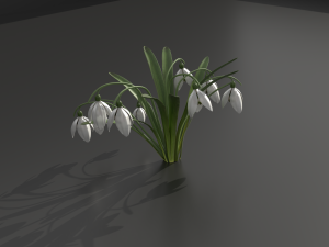 snowdrop Model 3D