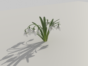 snowdrop 3D Модель
