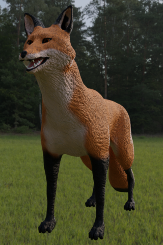 fox for in game use 3D Модель .c4d .max .obj .3ds .fbx .stl .blend 