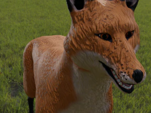 fox for in game use 3D Model
