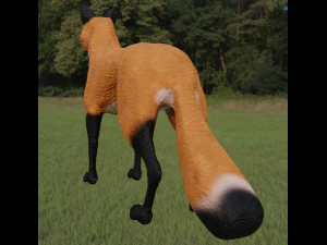 fox for in game use 3D Model