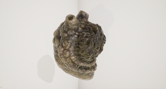 alien organ 3D Модель .c4d .max .obj .3ds .fbx .stl .blend 