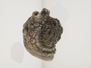 чужорідний орган 3D Модель