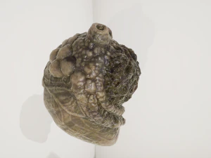 외계 기관 3D 모델