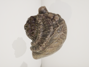 alien organ 3D Модель