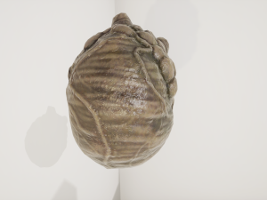 alien organ 3D Модель