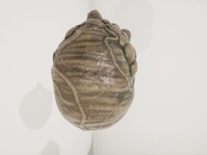 외계 기관 3D 모델