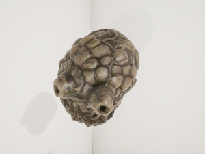 alien organ 3D Модель