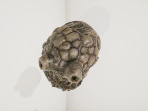 외계 기관 3D 모델