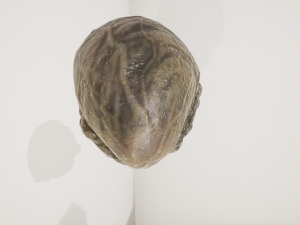 alien organ 3D Модель