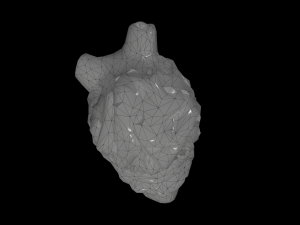 alien organ 3D Модель