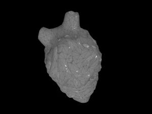 외계 기관 3D 모델