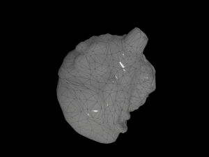 alien organ 3D Модель