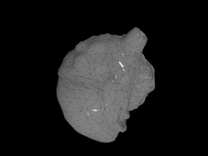 외계 기관 3D 모델