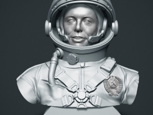 elon musk 3D Принт Модель