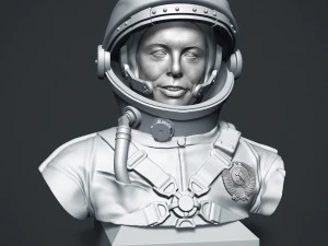 elon musk 3D Print Model