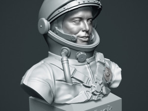 elon musk 3D Baskı Modeli