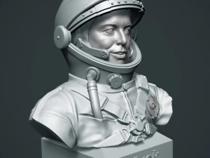 elon musk 3D Print Model