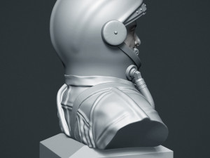 elon musk 3D Baskı Modeli