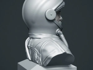 elon musk 3D Print Model